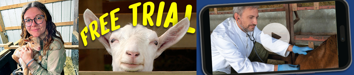 Banner featuring a young woman wearing glasses cuddling with a baby goat; a goat peaking over a fence with the word Free Trial hovering above; a smartphone displaying a play button superimposed over an image of a veterinarian examining a goat with a stethoscope.